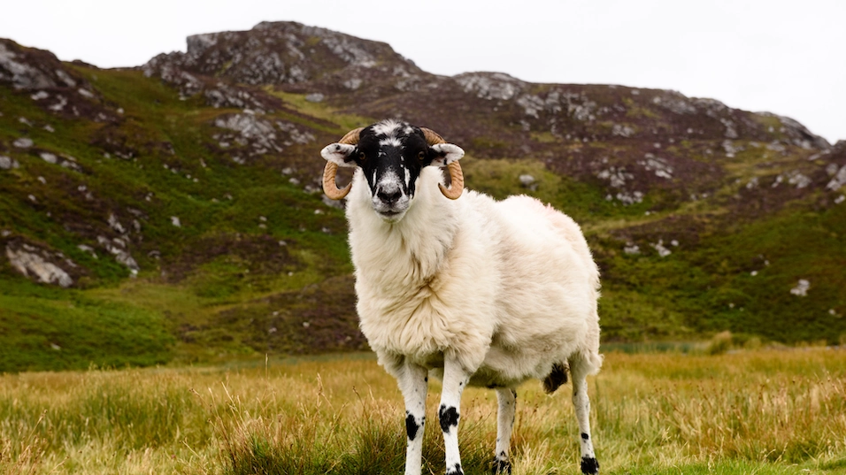 The Benefits of Eco-Friendly Products